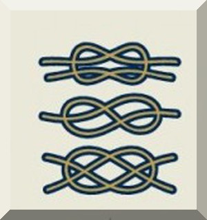 class=img-responsive